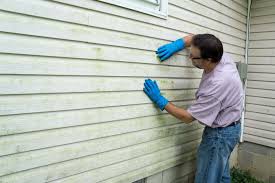 Best Insulated Siding Installation  in Forest, MS